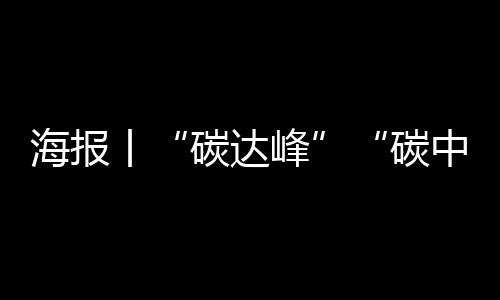 海报丨“碳达峰”“碳中和”,大咖这么说